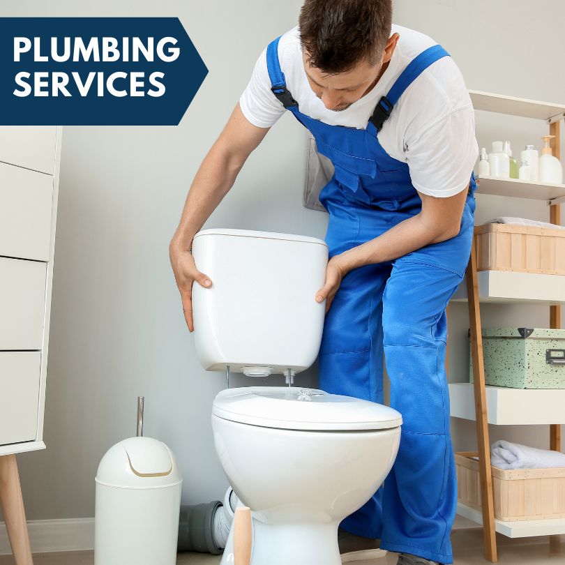 Plumbing Company in Richview, IL